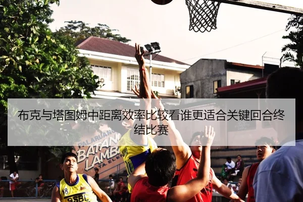 布克与塔图姆中距离效率比较看谁更适合关键回合终结比赛
